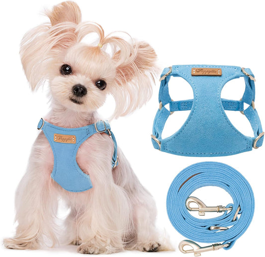 Puppytie No Pull xs Dog Harness with Multifunction Dog Leash,Soft Adjustable No Choke Escape Proof Pet Harness Vest,Ocean Blue,XS