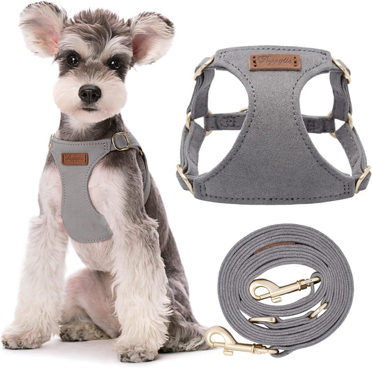 Puppytie No Pull Small Dog Harness with Multifunction Dog Leash,Lightweight Soft Adjustable No Choke Escape Proof Pet Harness Vest Pet Harness Vest,Silver Grey,S