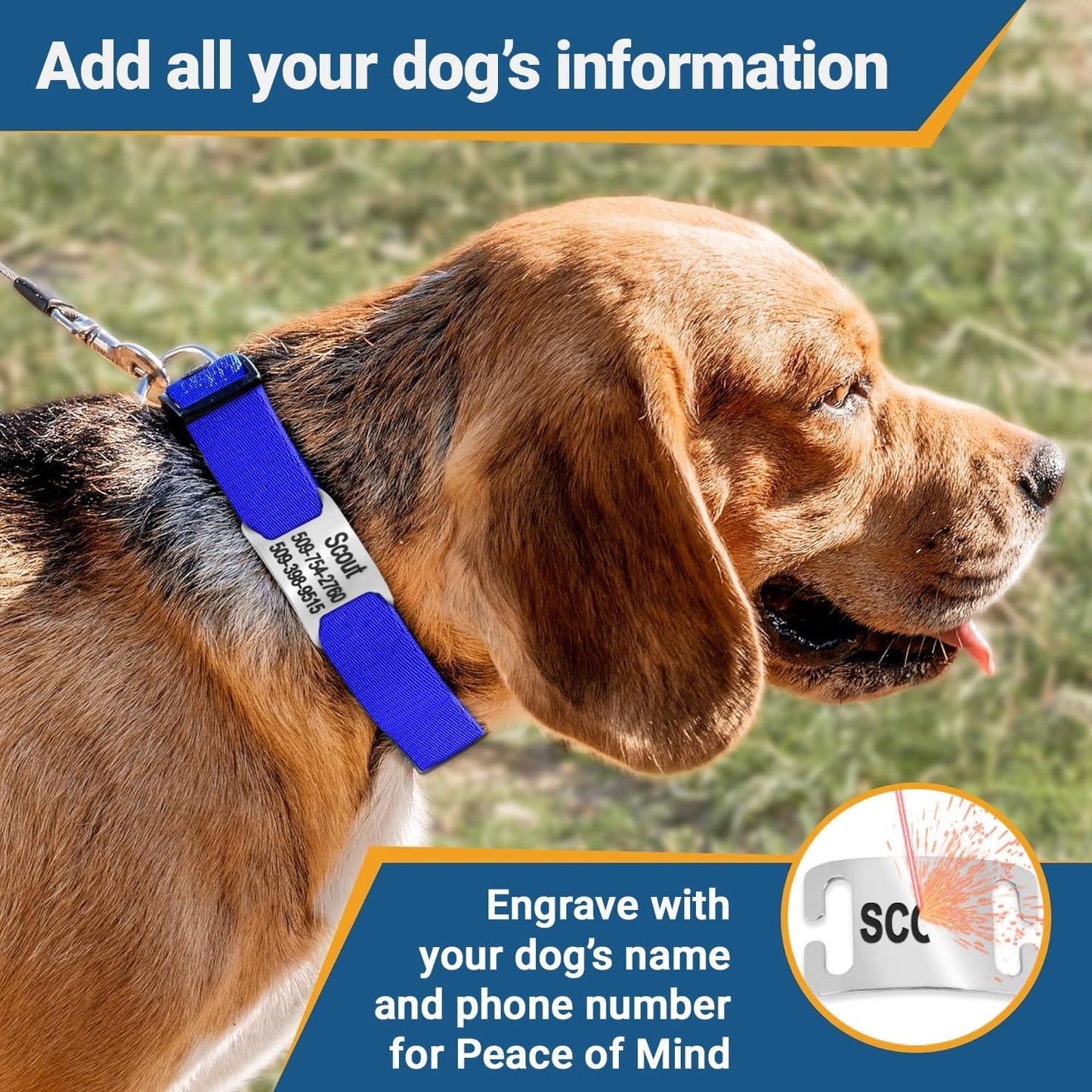 GoTags Personalized Dog Collar with Nameplate, Adjustable Dog Collar with Custom Engraved Slide On Pet ID Tag in Stainless Steel, Silent, No Noise Dog Tag (Lavender, X-Small)