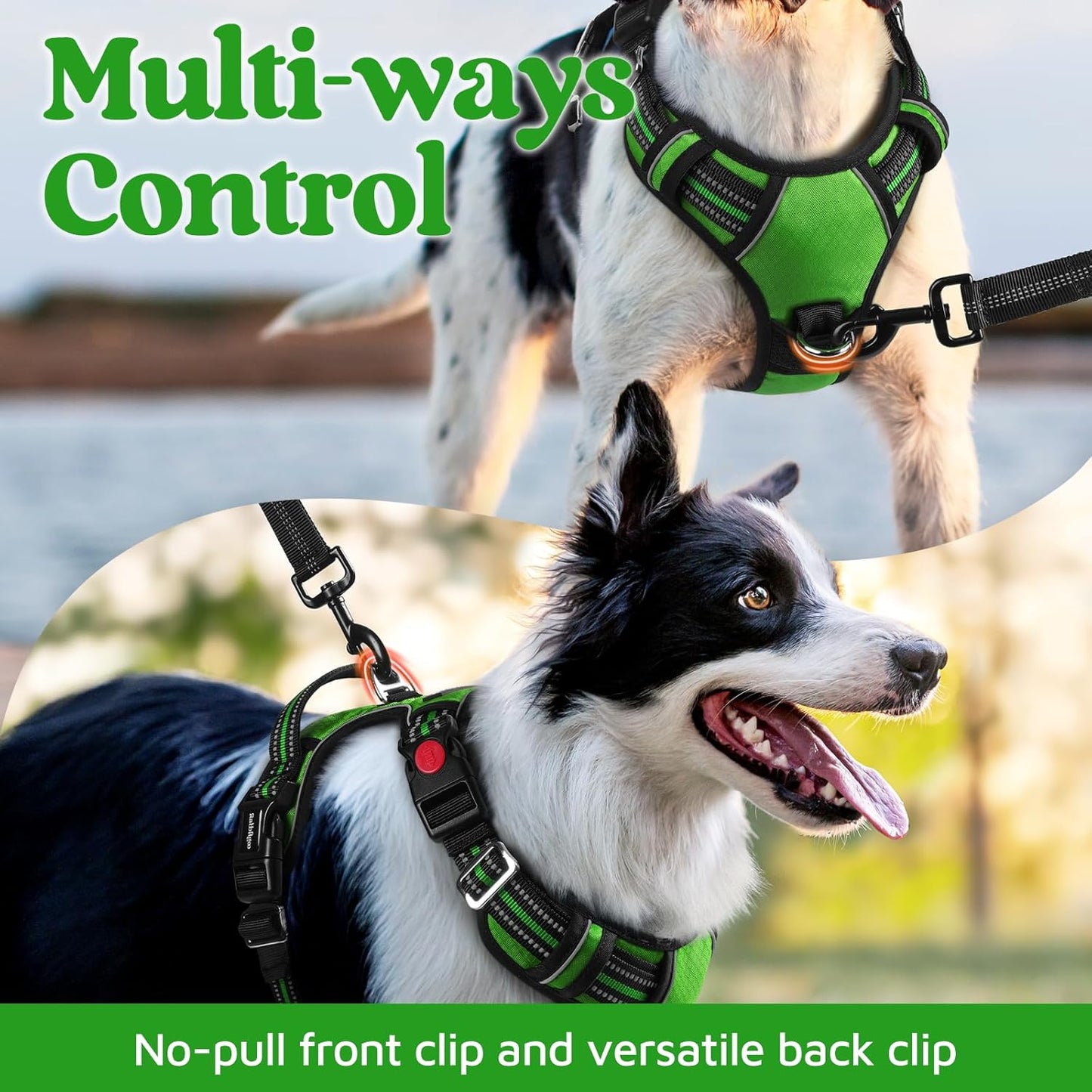 rabbitgoo Dog Harness Medium Sized, No Pull Dog Vest with 3 Buckles, Adjustable Soft Padded Pet Harness with Easy Control Handle and Reflective Strips, Green, M
