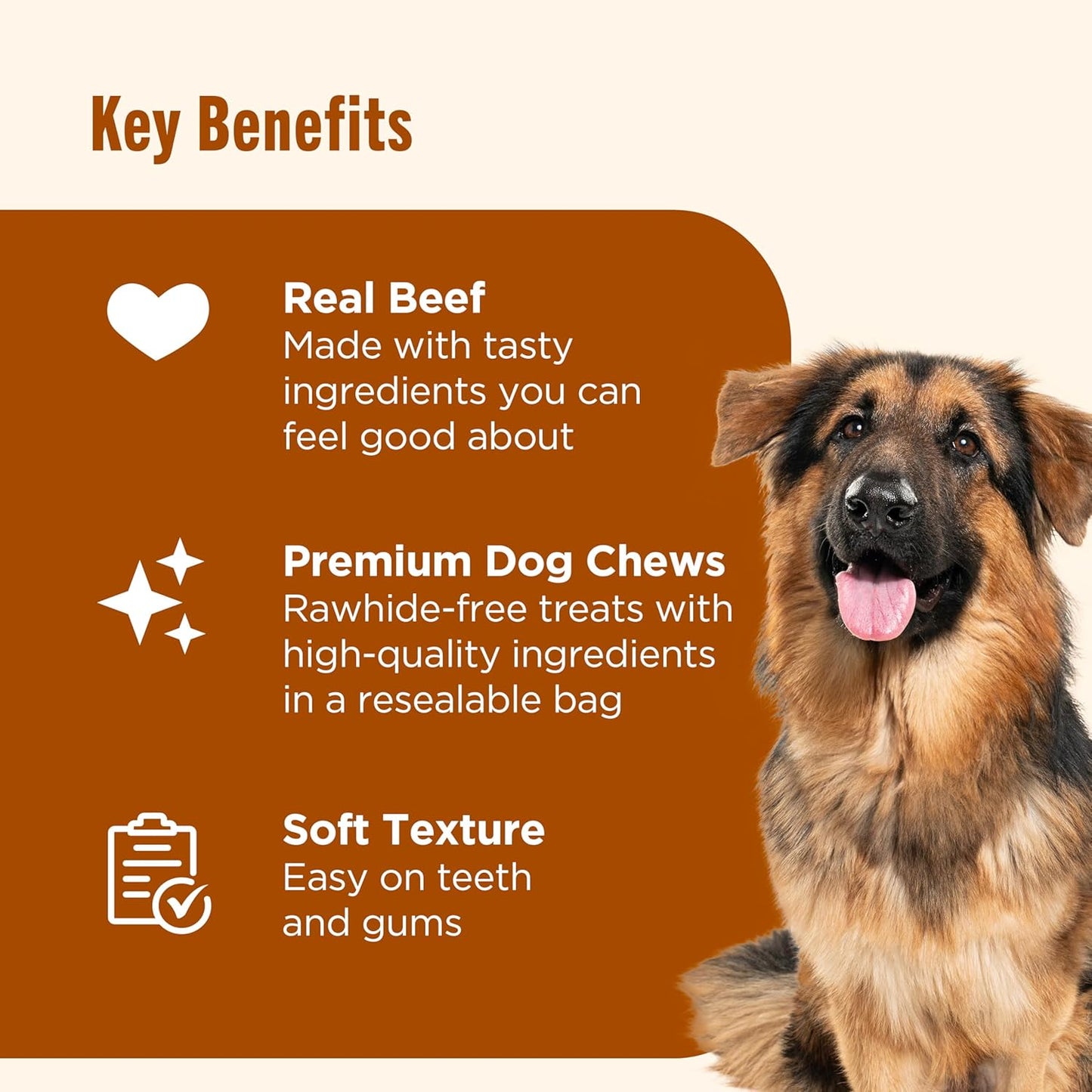 Nutrish Soup Bones Premium Dog Chews with Real Beef and Barley, 11 Chews, Packaging May Vary (Rachael Ray)