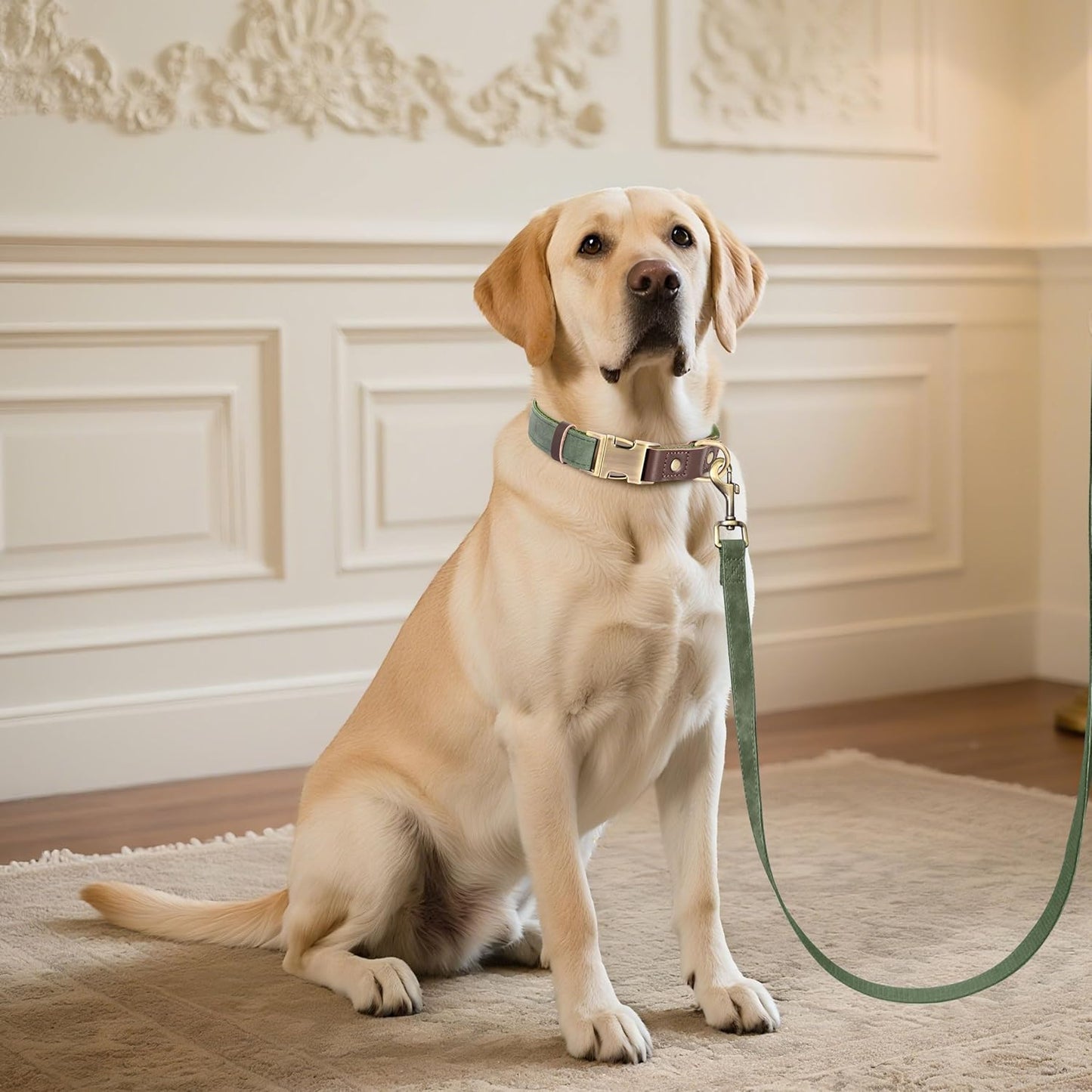 Didog Soft PU Leather Dog Collar for Large Dogs,Classic Adjustable Dog Collars with Quick Release Metal Buckle,Easy Clean and Comfortable with Nylon Lining,Green,L Neck 15-23"