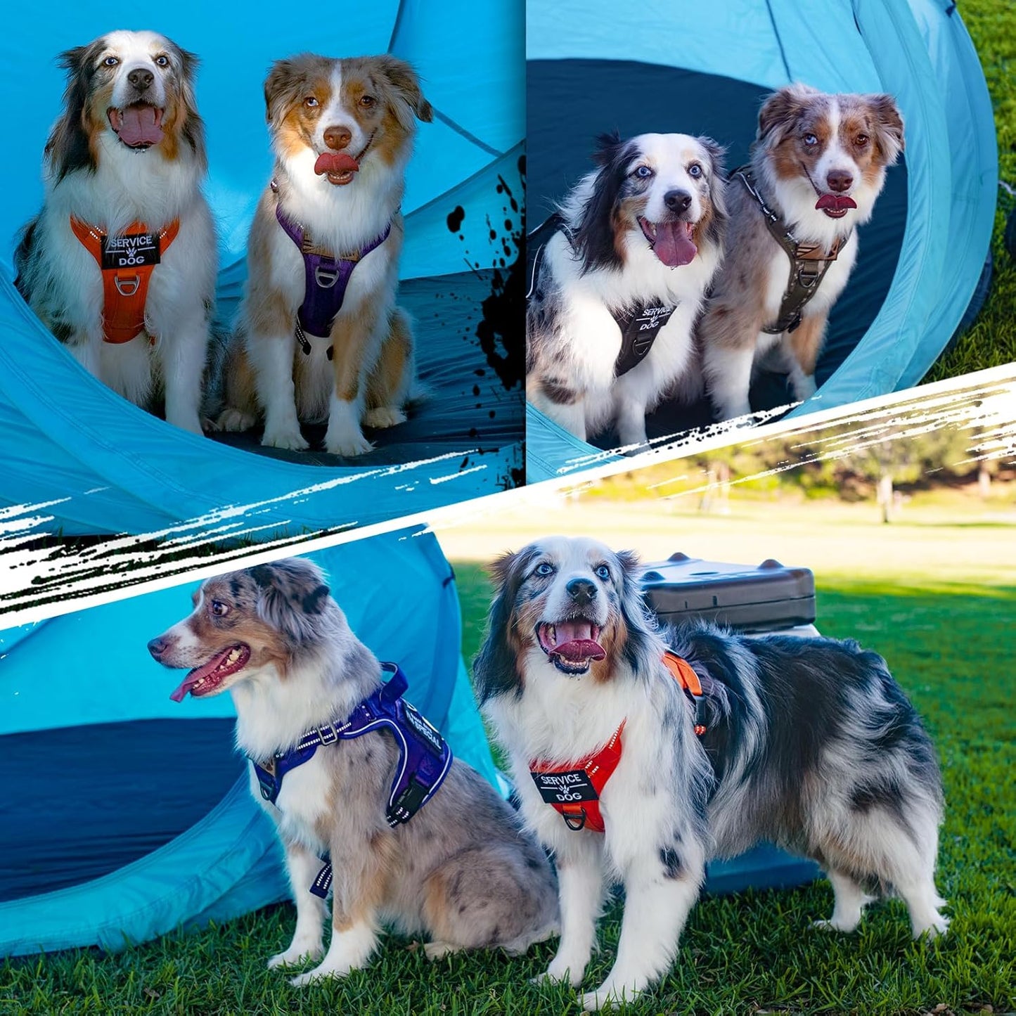 rabbitgoo Tactical Dog Harness for Small Dogs, No Pull Military Service Vest with Handle & Molle, Easy Control for Training Walking, Adjustable Reflective Straps, Blue, S