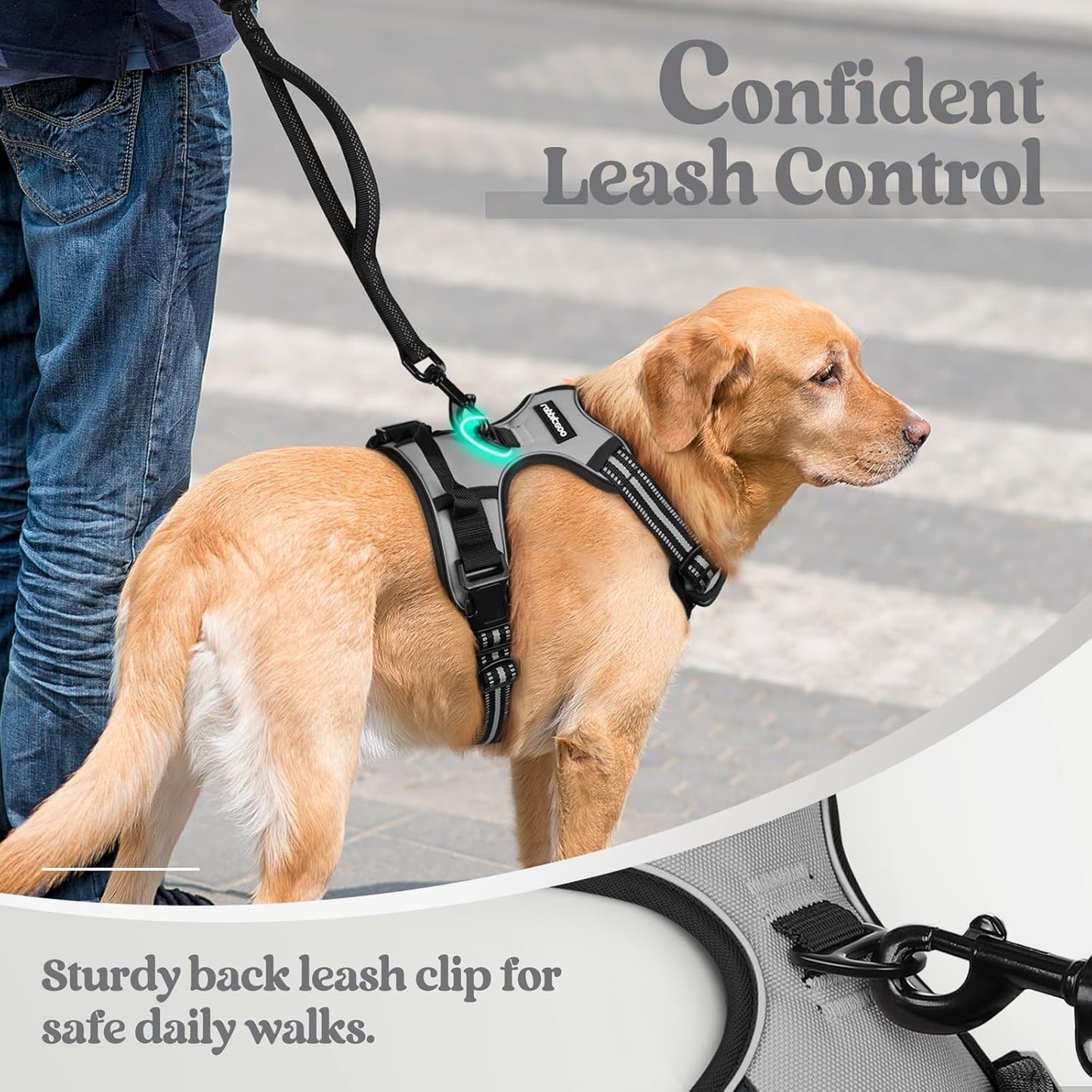 rabbitgoo Dog Harness No Pull with 2 Leash Clips, Adjustable Soft Padded, Reflective Oxford No Choke Pet Vest with Easy Control Handle for Medium Sized Dogs, Grey, M