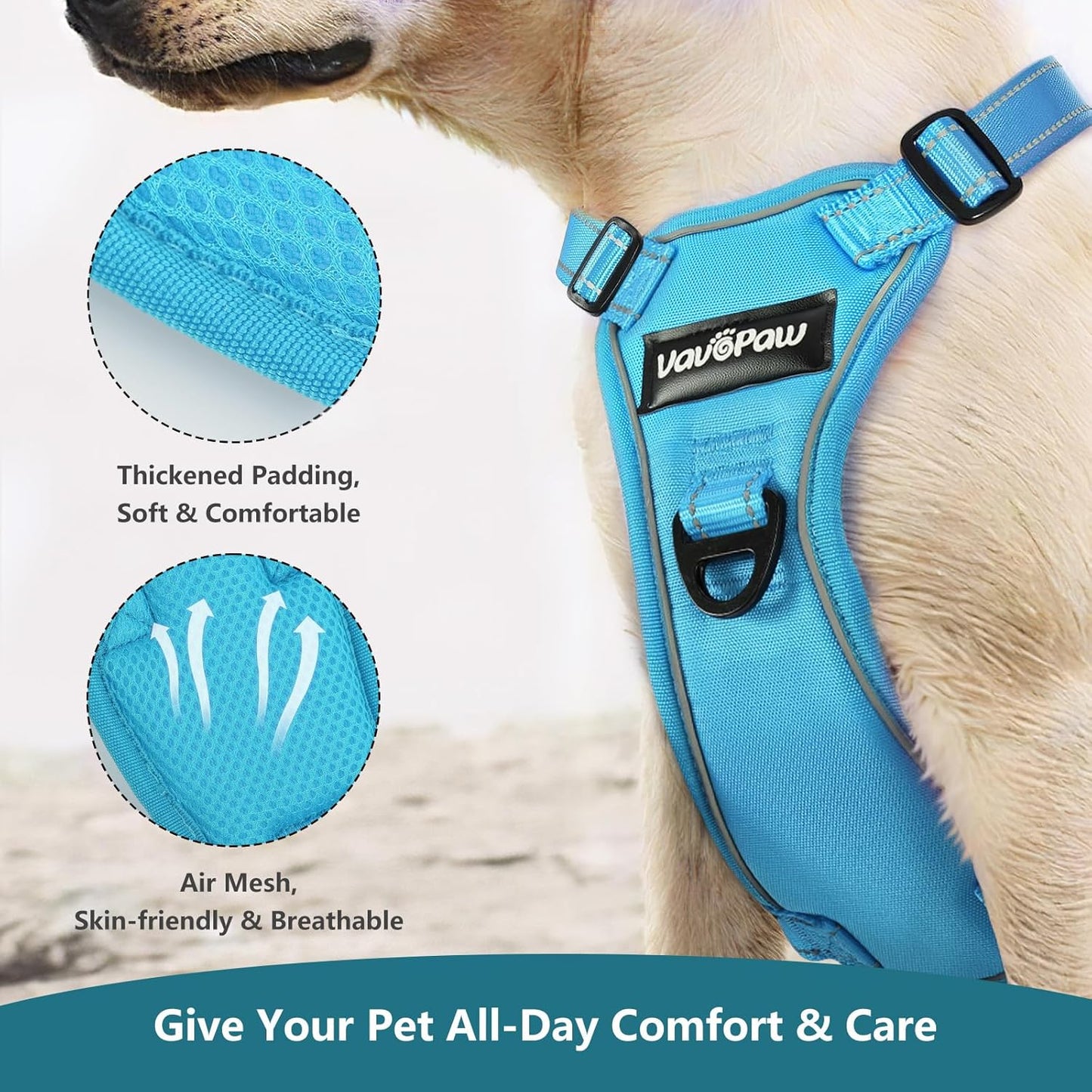 Dog Seat Belt Harness for Car, Dog Car Harness Adjustable Mesh Breathable & Dogs Seatbelt Safety Tether with Elastic Bungee for Small Medium Large Pets(Blue, S)