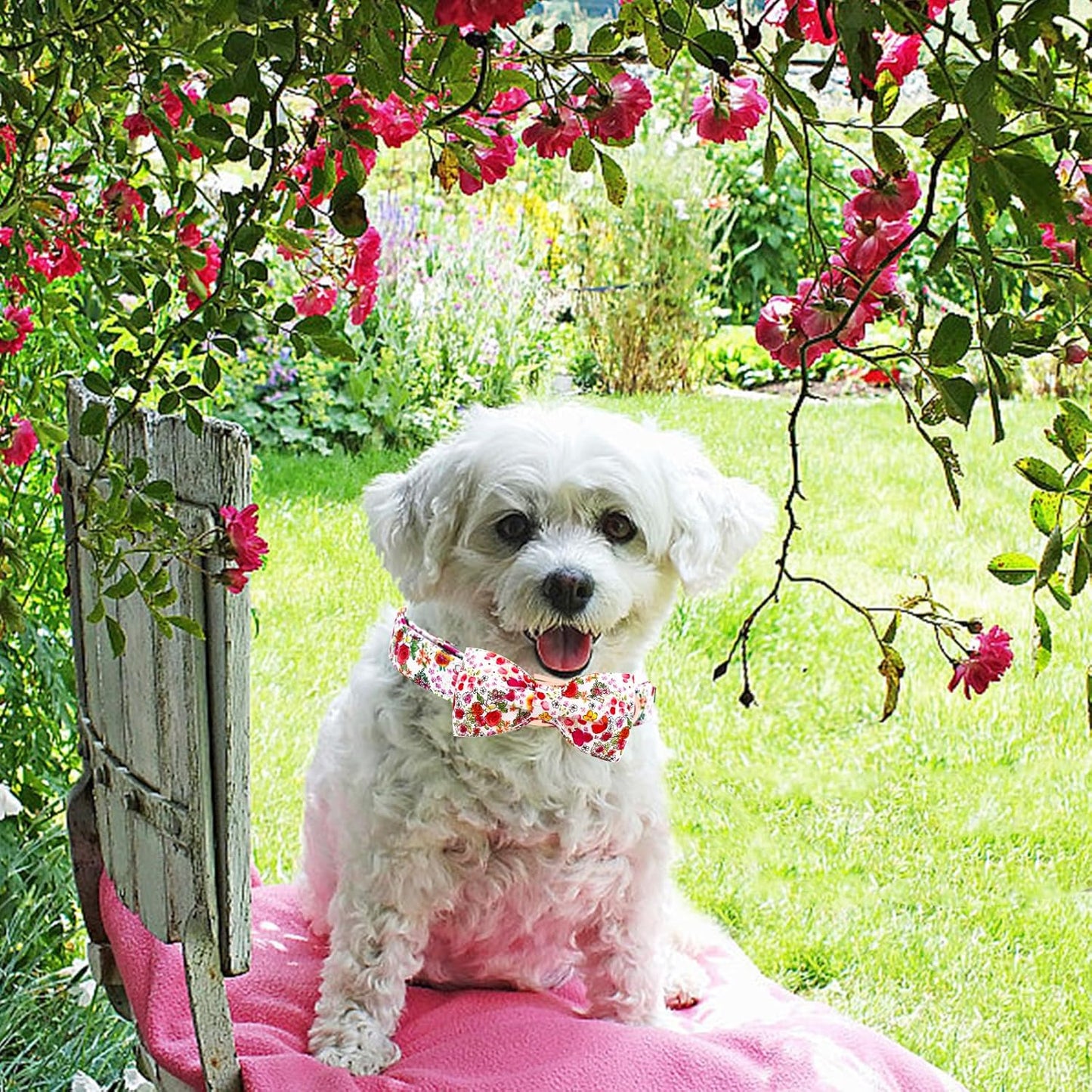 Elegant little tail Dog Collar, Pink Rose Print Pet Collar Summer Dog Collar Durable Metal Buckle Dog Collars Cotton Pet Adjustable Dog Collars for X-Large Dogs