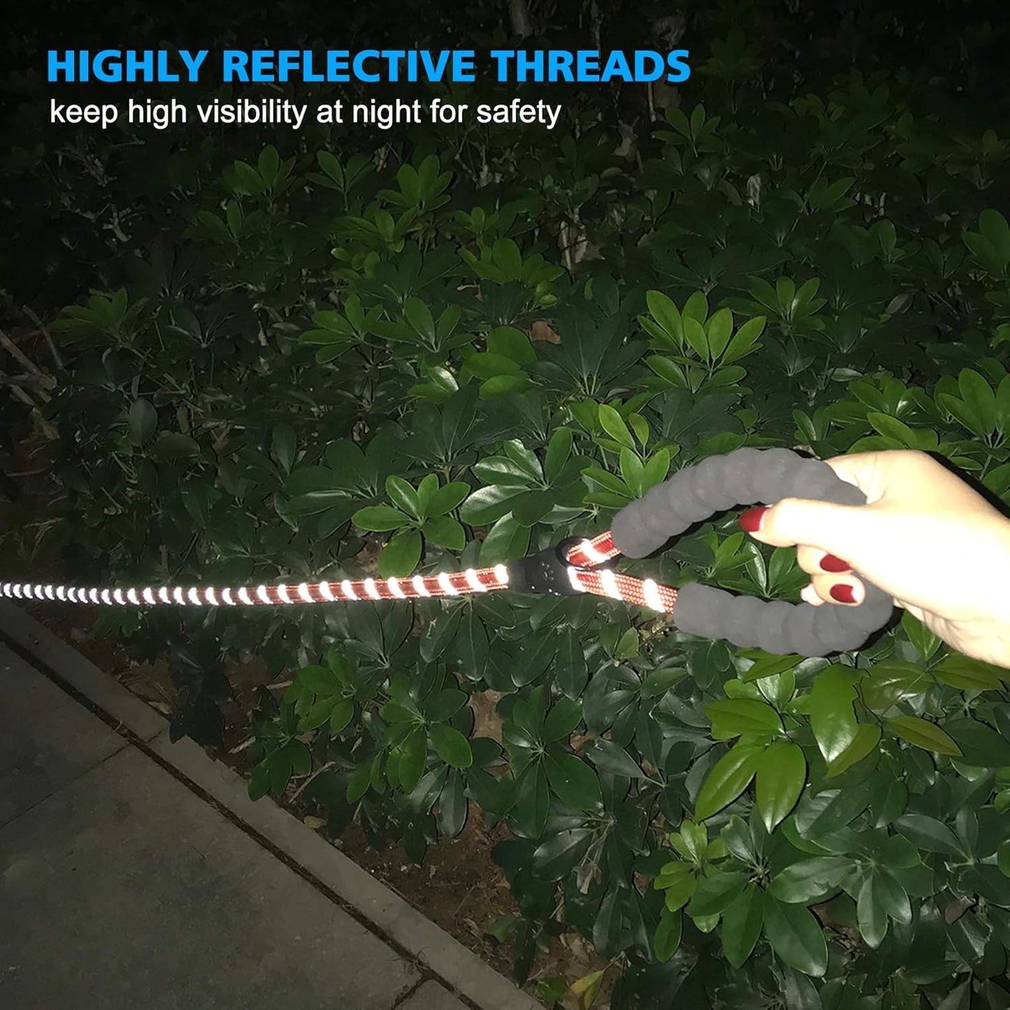 Heavy Duty Dog Leash - Comfortable Padded Handle, 5 ft Long - Dog Leashes for Small Medium Large Dogs (Leash+Collar L Neck 20"-25", Red)