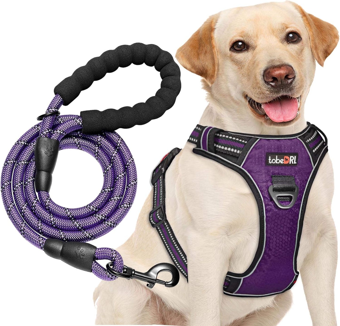 No Pull Dog Harness Adjustable Reflective Oxford Easy Control Medium Large Harness with A Free Heavy Duty 5ft Leash (L (Neck: 18"-25.5", Chest: 24.5"-33"), Purple)