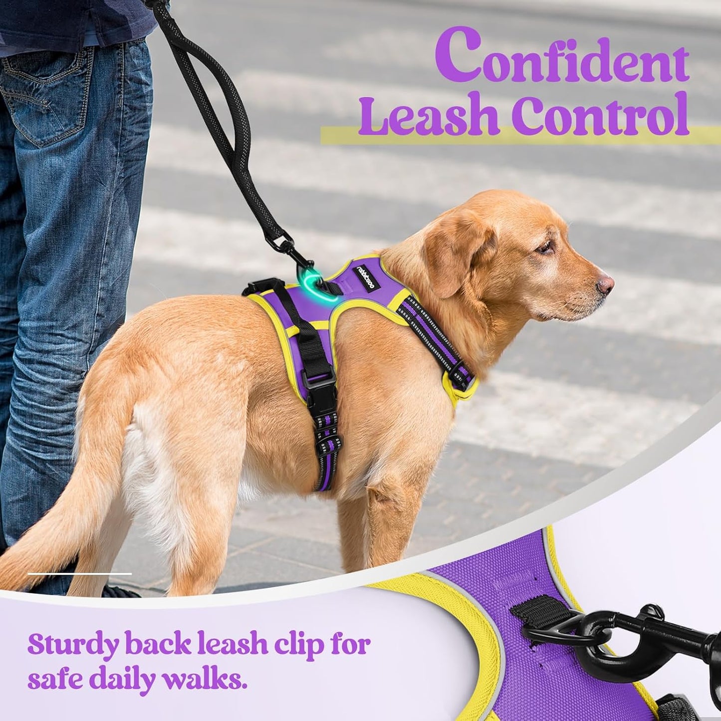 rabbitgoo Dog Harness No Pull with 2 Leash Clips, Adjustable Soft Padded, Reflective Oxford No Choke Pet Vest with Easy Control Handle for Medium Sized Dogs, Purple & Yellow, M