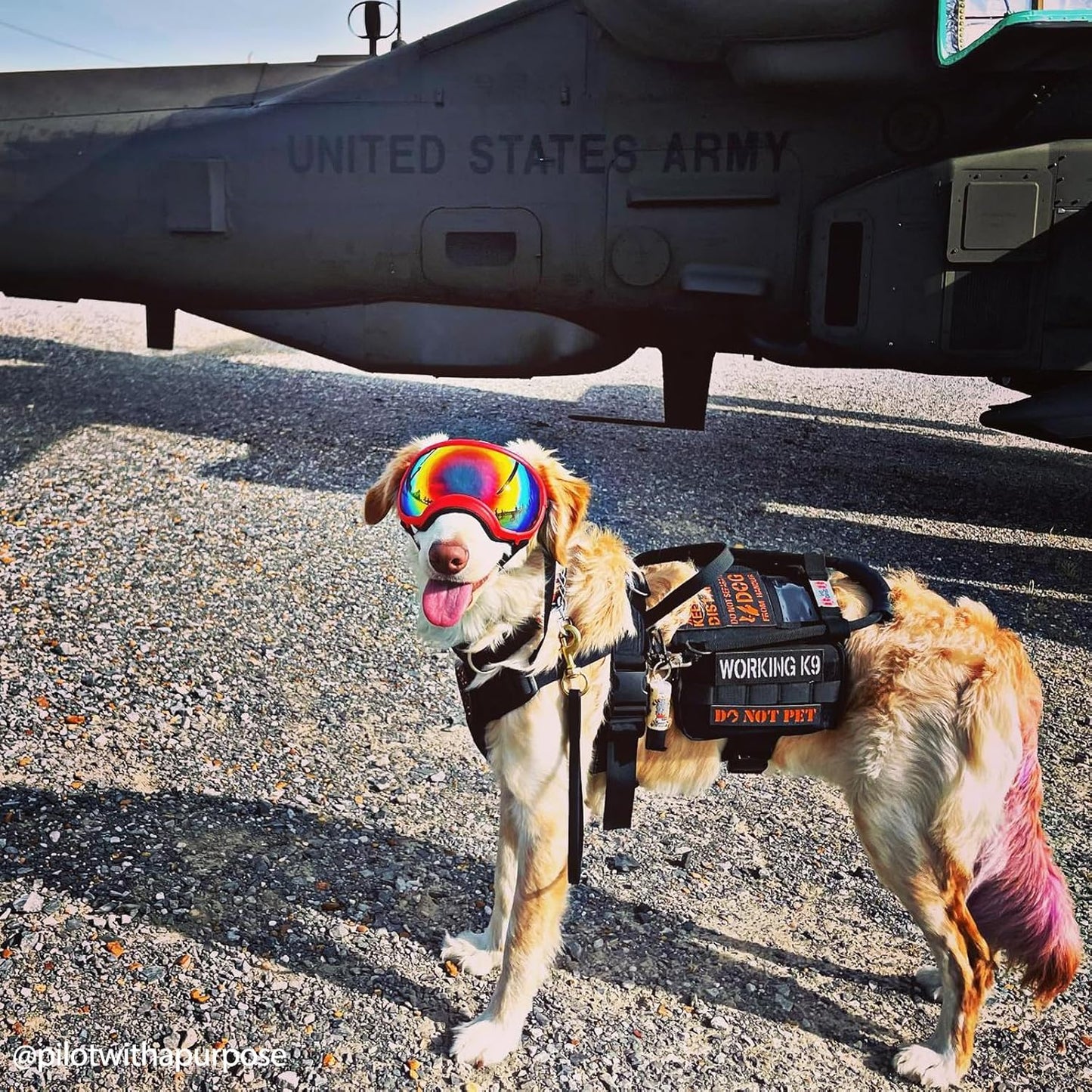 OneTigris Service Dog Vest Harness, Service Dog Cape Guardian Dog Backpack Harness with Pouches Dog Saddle Bag for Small Medium and Large Dogs (Black, M)