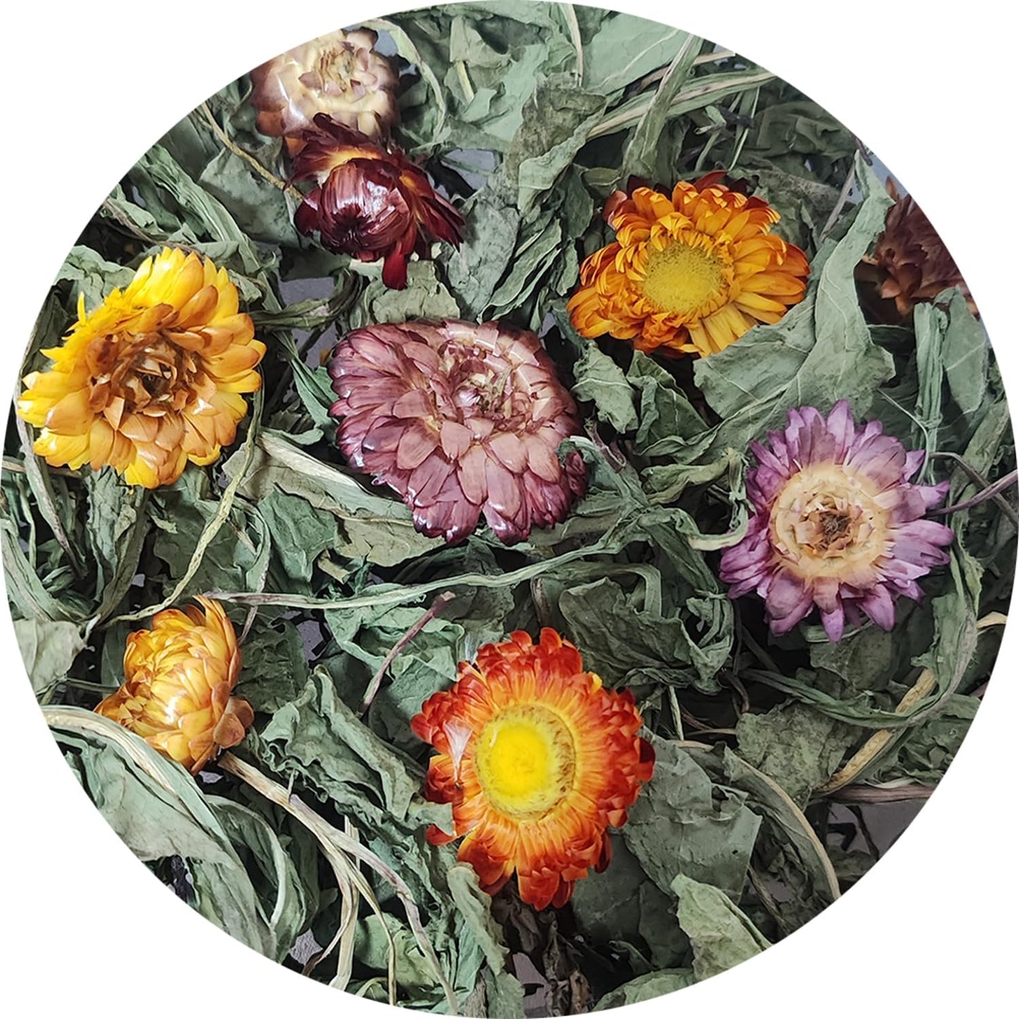 Dandelion Treat - High Fiber Food for Chinchillas, Guinea Pigs & Squirrels - 5 Herbal Blends, 6oz - Rabbit, Hamster & Small Pet Snack