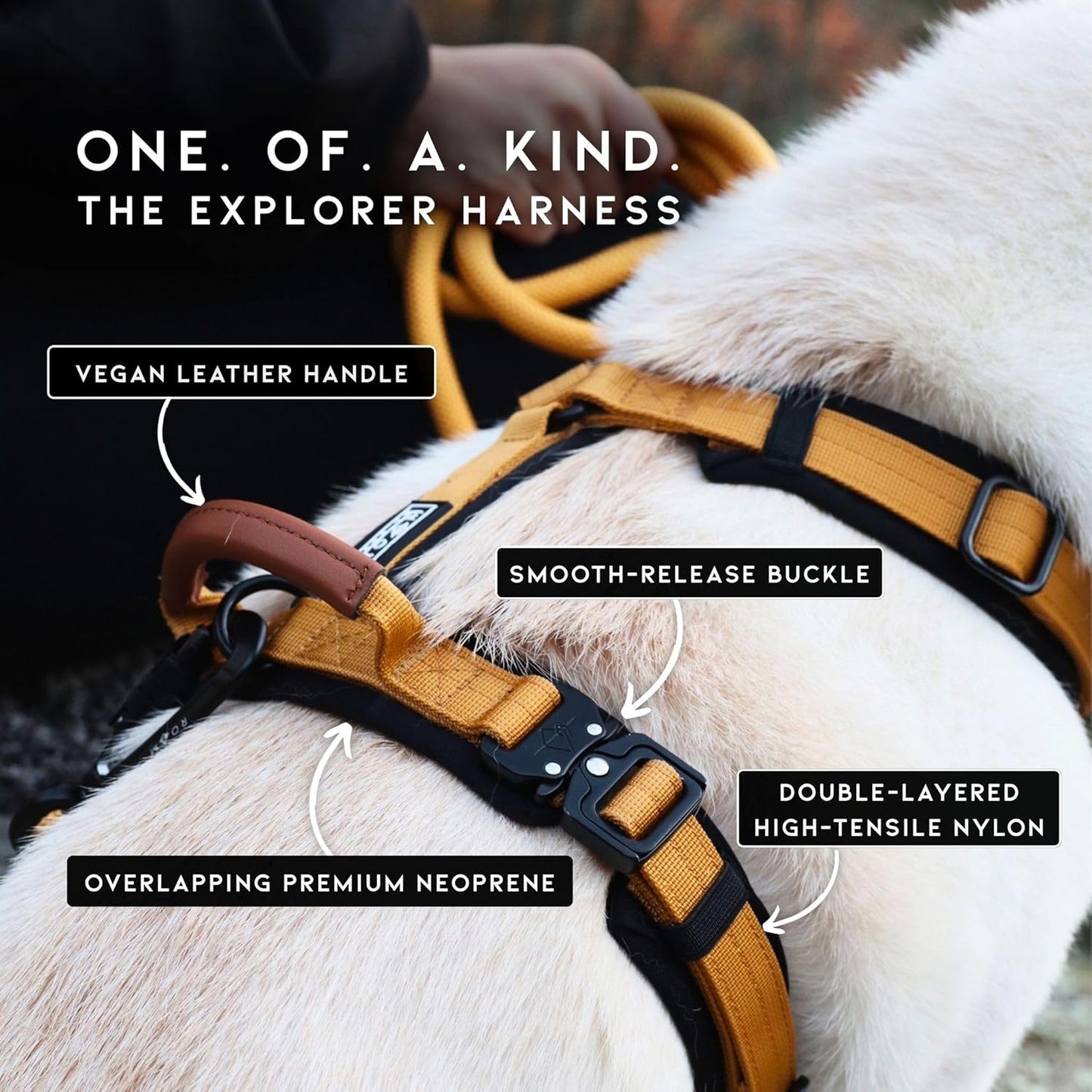 MADE TO ROAM Premium Explorer Harness - Y-Shaped Dog Harness with Adjustable Durable Nylon, Soft Padding, Metal Buckles and Leather Handle for Small, Medium, Large Dogs (Michigan Autumn, Size 4)