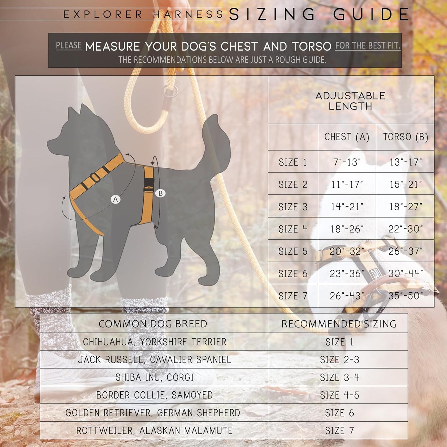 MADE TO ROAM Premium Explorer Harness - Y-Shaped Dog Harness with Adjustable Durable Nylon, Soft Padding, Metal Buckles and Leather Handle for Small, Medium, Large Dogs (New York Afterlight, Size 5)