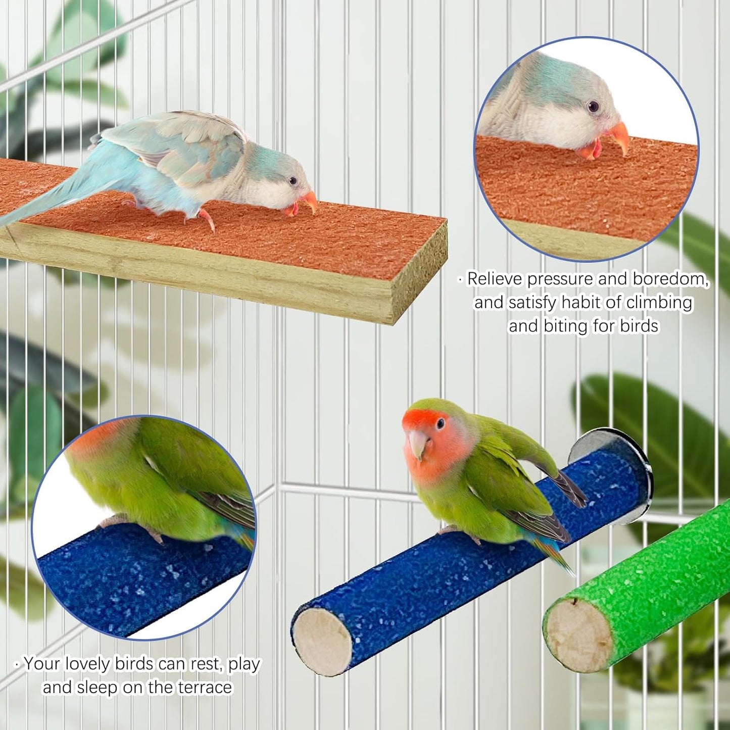 Hamiledyi 5 PCS Bird Perch Stand - Wooden Parrot Perch Stand with Colorful Sand Paw Grinding Stick Trim Beak Wood Platform for Bird Nail Trimming - Cage Accessories for Parakeets & Cockatiel