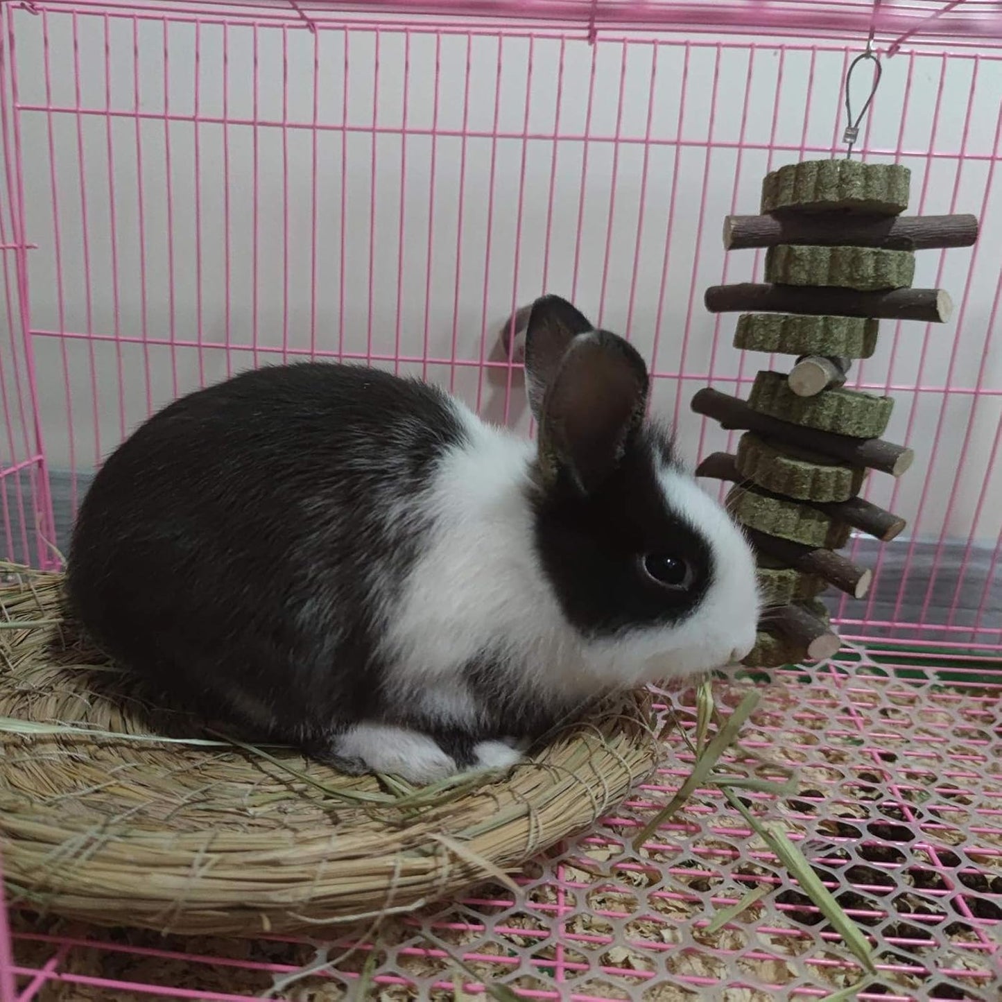 Rabbit Chew Toys for Teeth Grinding Bunny Treats 100% Natural Wood Timothy Grass Treats for Guinea Pigs Chinchillas Hamsters 6pcs