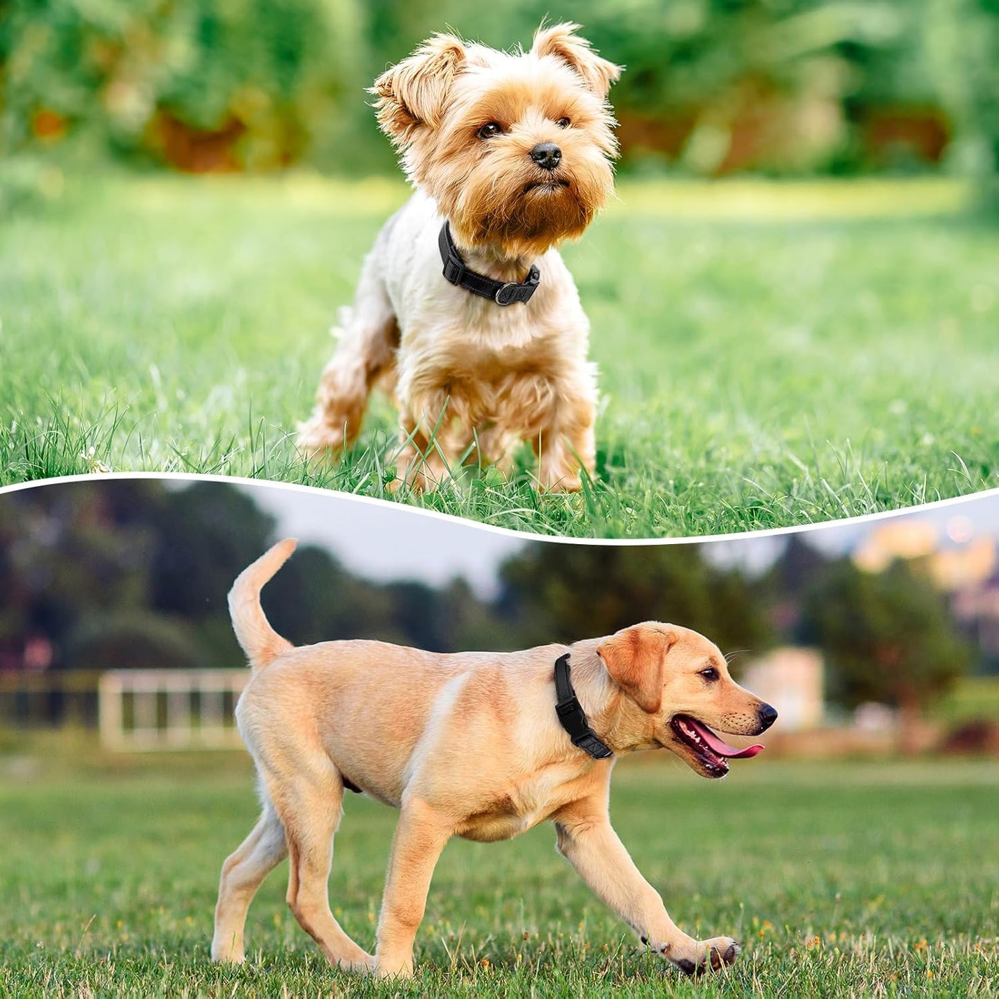 Reflective Dog Collar Padded with Soft Neoprene Breathable Quick Release Basic Dog Collars for Large Dogs Black Boy Girl