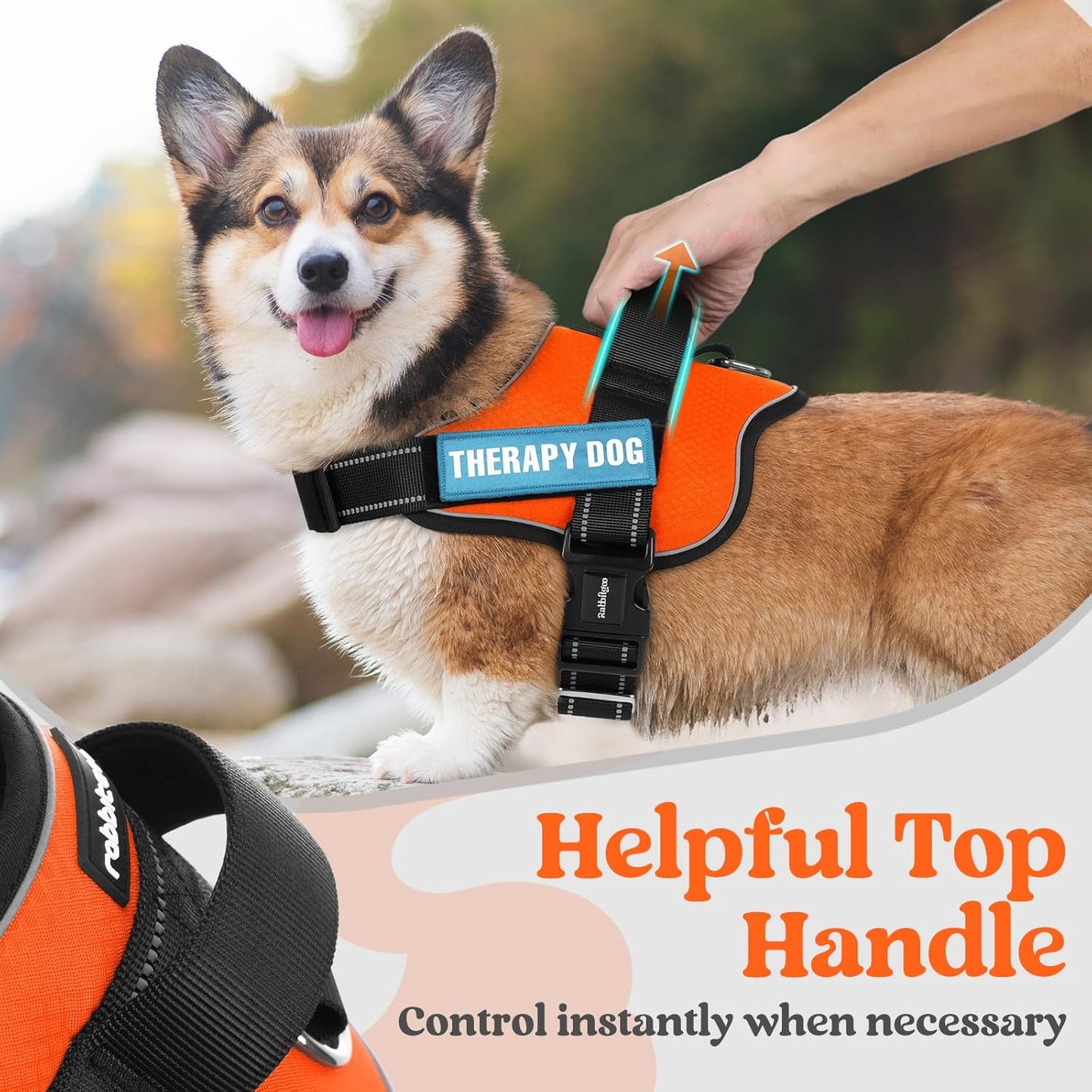 rabbitgoo Dog Harness Medium Sized, Easy On Pet Vest with One Buckle, No Pull Adjustable Service Harness with D-Ring & Handle, Reflective for Safety Walking, Training, Orange, M