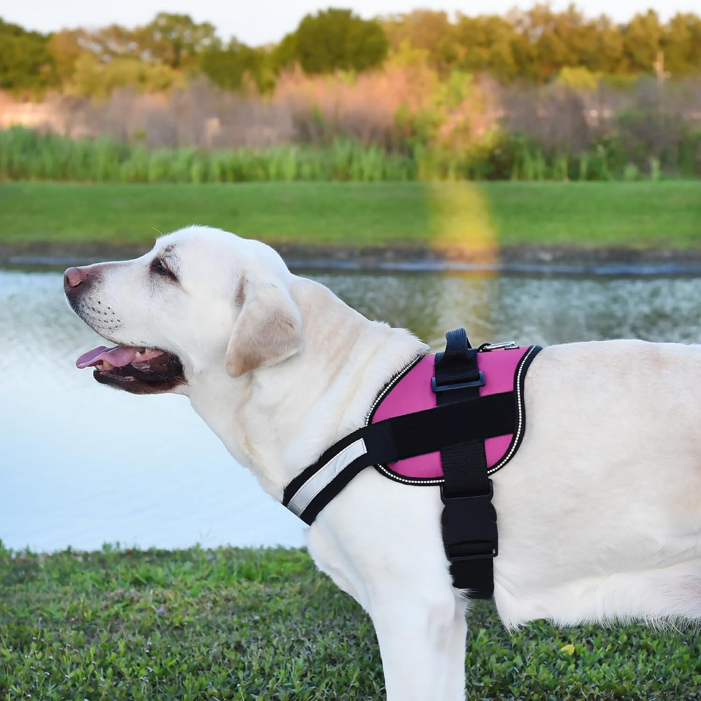 Dogline Dog Harness, Reflective No-Pull Adjustable Vest with Handle, Breathable No-Choke Harness for Small, Medium or Large Dogs Room for Patches Girth 27 to 34 in Pink