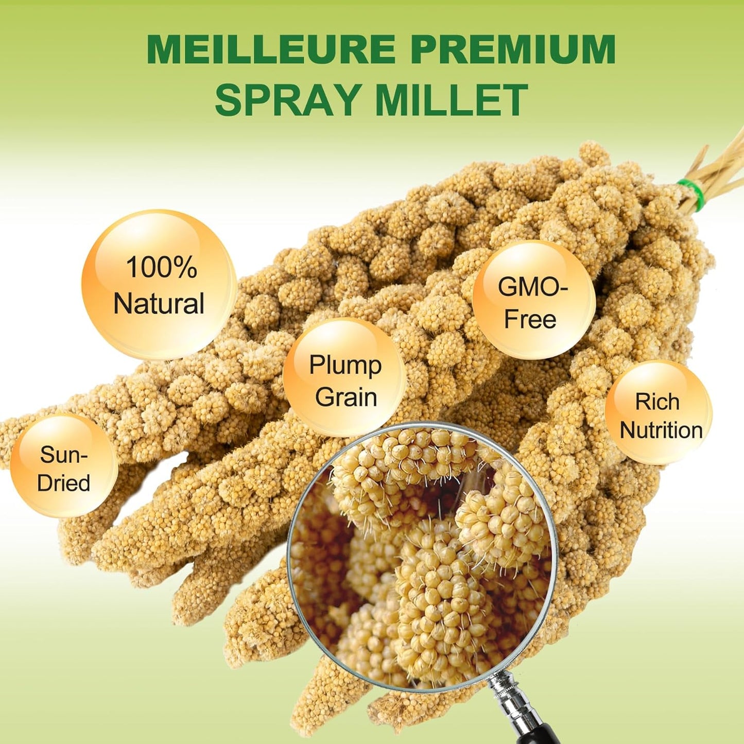 2LB Spray Millet Bird Treat for Parakeets, Natural Sun-Dried Birds Millet Spray for Parrots, Finches, Cockatiel, Budgie & Hamster, Bird Food Bulk