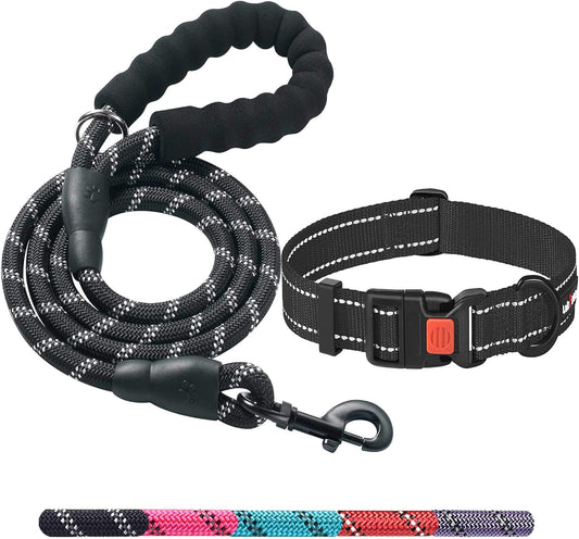 Heavy Duty Dog Leash - Comfortable Padded Handle, 5 ft Long - Dog Leashes for Small Medium Large Dogs (Leash+Collar L Neck 20"-25", Black)