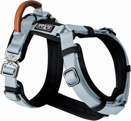 MADE TO ROAM Premium Explorer Harness - Y-Shaped Dog Harness with Adjustable Durable Nylon, Soft Padding, Metal Buckles and Leather Handle for Small, Medium, Large Dogs (Alaska Daybreak, Size 3)