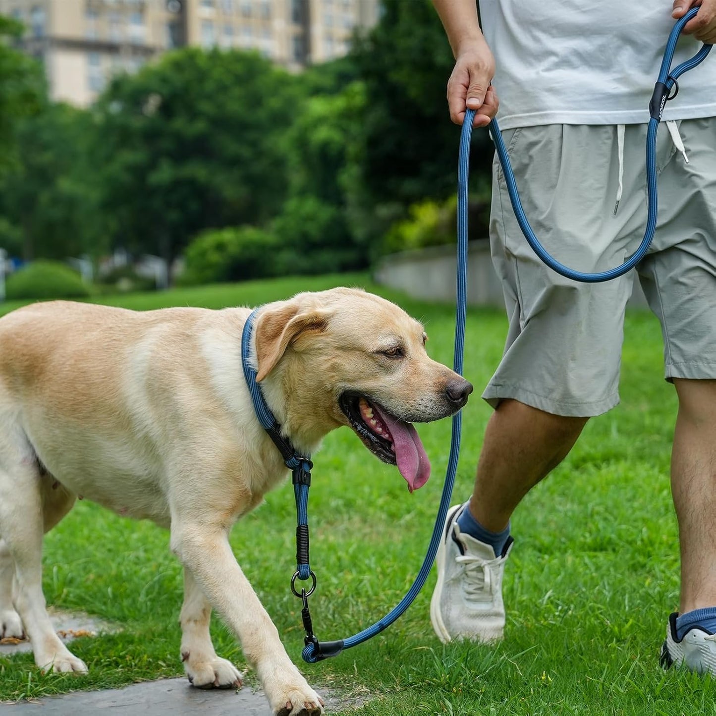 Rope Dog Leash with Two Handles, 6 Foot Heavy Duty Dog Leash with Aviation Aluminum Auto Locking Carabiner, Strong Nylon Pet Lead for Small, Medium, Large Dogs (Navy Blue, 6FT-Two Handle)