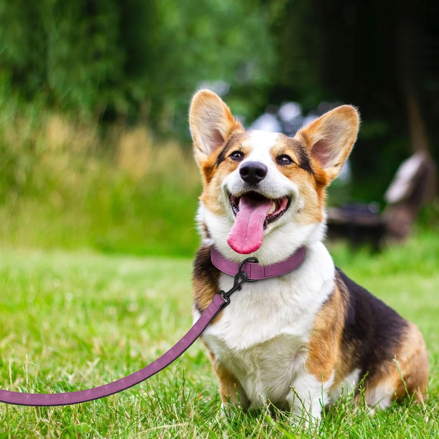 Didog Soft Padded Leather Dog Collar and Leash Set, Heavy Duty Dog Leash and Collar Set with Metal Buckle, Breathable Dog Collars with 4FT Leather Dog Leash for Small Medium Large Dogs, Purple, L