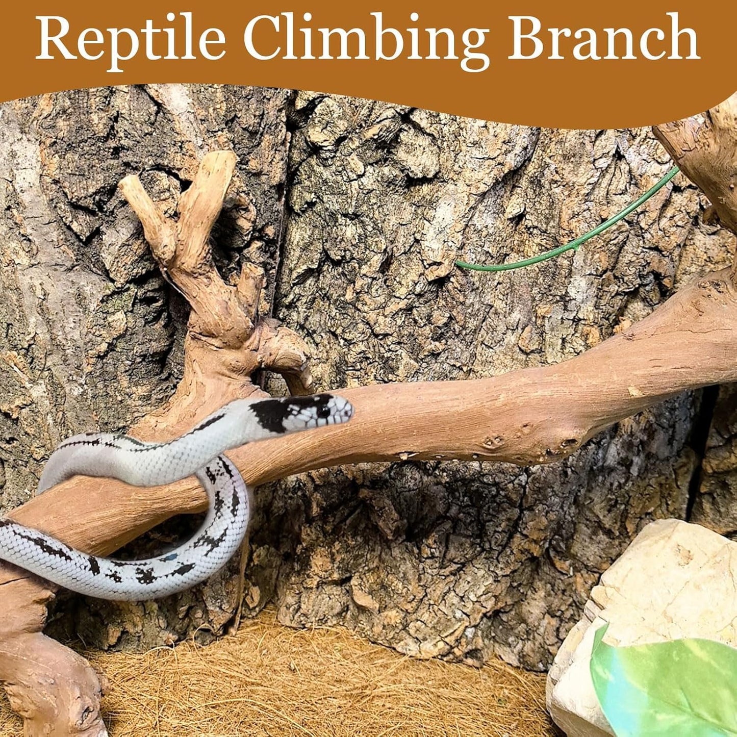 kathson 2PCS Snake Climbing Branch,Reptile Wood Branches Decor, Lizard Natural Wood Climb Accessories,Reptiles Habitat Tank Tree Trunk Decorations for Bearded Dragon Geckos Chameleons Frog