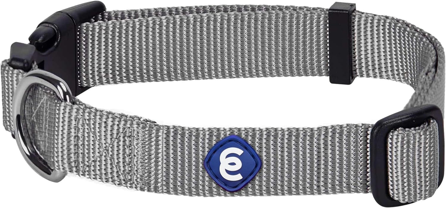 Blueberry Pet Essentials Small Dog Collar in Flint Gray | Adjustable & Eco-Friendly Durable Nylon Strap | Classic Collar for Small Dogs, Boy & Girl Pets