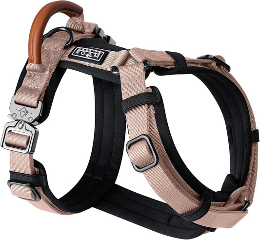 MADE TO ROAM Premium Explorer Harness - Y-Shaped Dog Harness with Adjustable Durable Nylon, Soft Padding, Metal Buckles and Leather Handle for Small, Medium, Large Dogs (Utah Glow, Size 1)