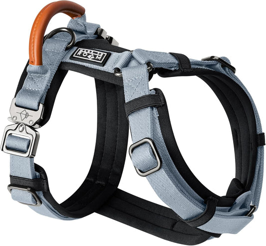 MADE TO ROAM Premium Explorer Harness - Y-Shaped Dog Harness with Adjustable Durable Nylon, Soft Padding, Metal Buckles and Leather Handle for Small, Medium, Large Dogs (Virginia Mountains, Size 1)