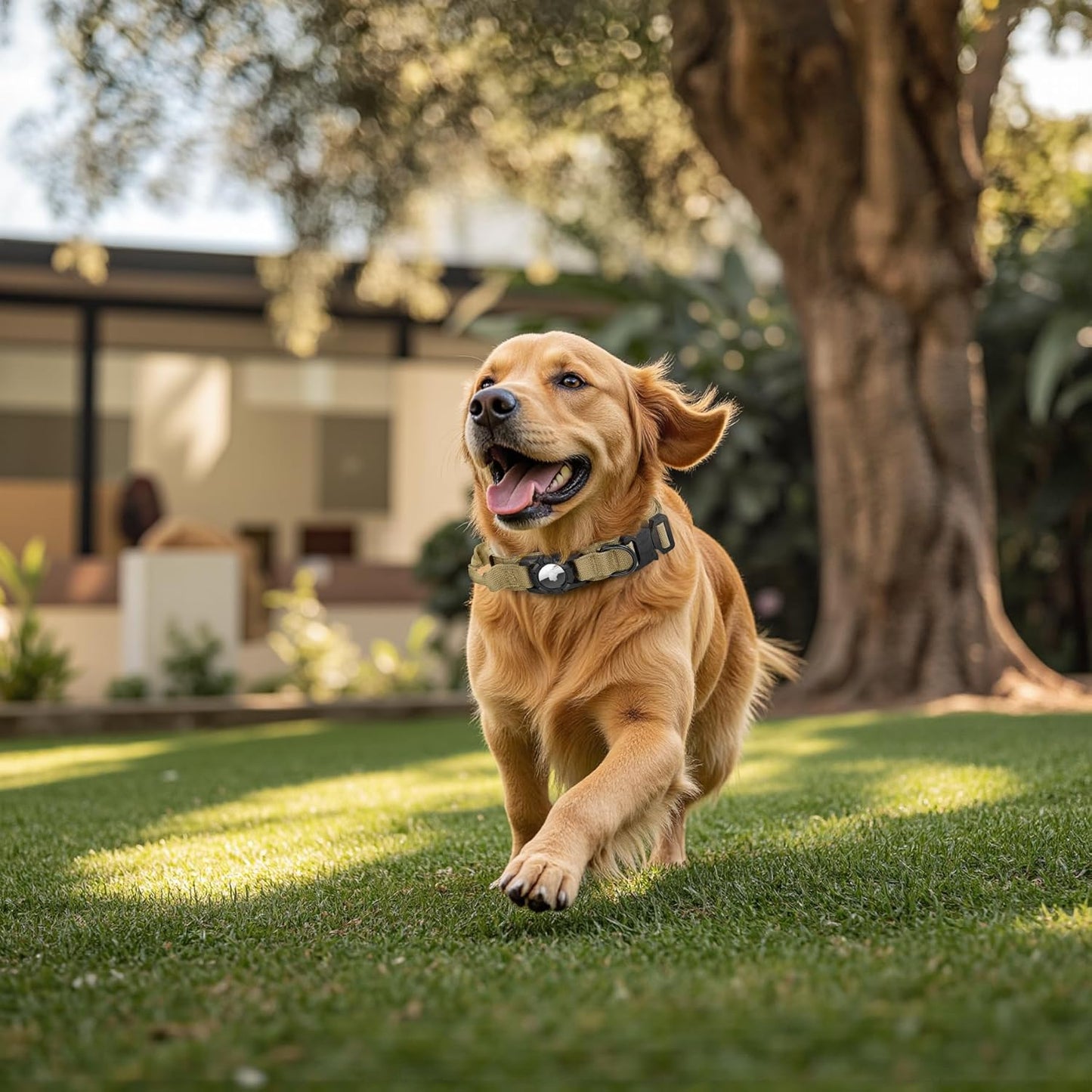 Tactical AirTag Dog Collar Leash Set - Heavy Duty, Adjustable GPS Collar Compatible with Apple AirTag, with Holder & Control Handle for Medium/Large Dogs [ Brown, M ]