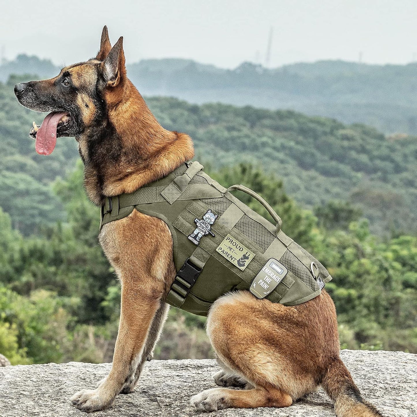 OneTigris Tactical Dog Harness for Small Dogs, Mesh Design Service Dog Vest Breathable Military Dogs Molle Vests with Handles, Harness for Walking Hiking Training