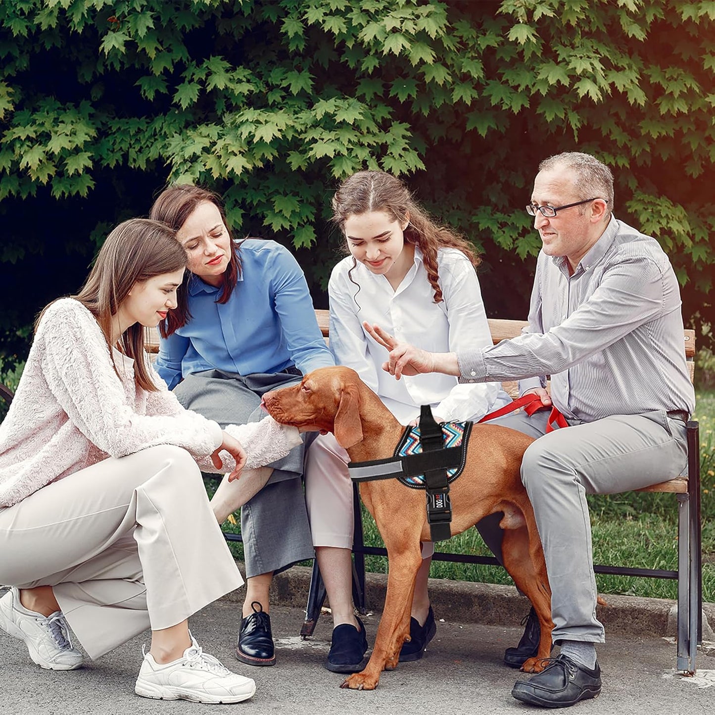 Dogline Dog Harness, Reflective No-Pull Adjustable Vest with Handle for Walking, Training, Breathable, No - Choke Harness for Small, Medium or Large Dogs Room for Patches Aztec Design 2 XS 15"-18"